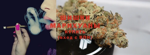 дурь Алзамай