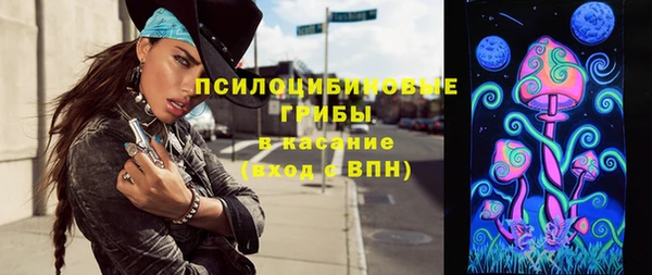 дурь Алзамай