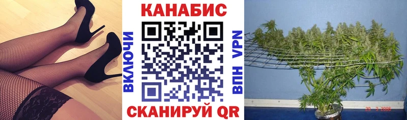 Бошки Шишки тримм  Йошкар-Ола 